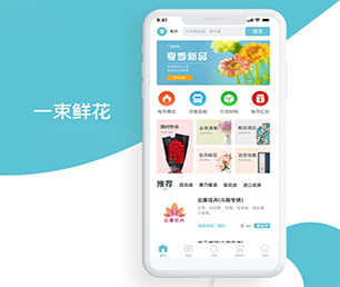 汕尾IOS APP定制拼团电商系统用心服务，创造卓越体验【特价促销等你来】